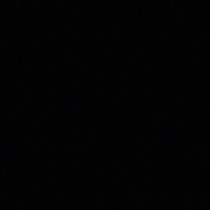 Meet your Posher, Jasper